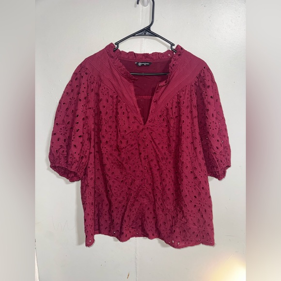 Pretty Garden Lantern Sleeve V Neck Button Lace Embroidered Blouse Sz XXL - Picture 2 of 5